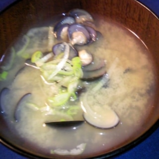 しじみのレシピ 作り方 簡単人気ランキング 楽天レシピ しじみのレシピ 作り方 簡単人気ランキング 楽天レシピ